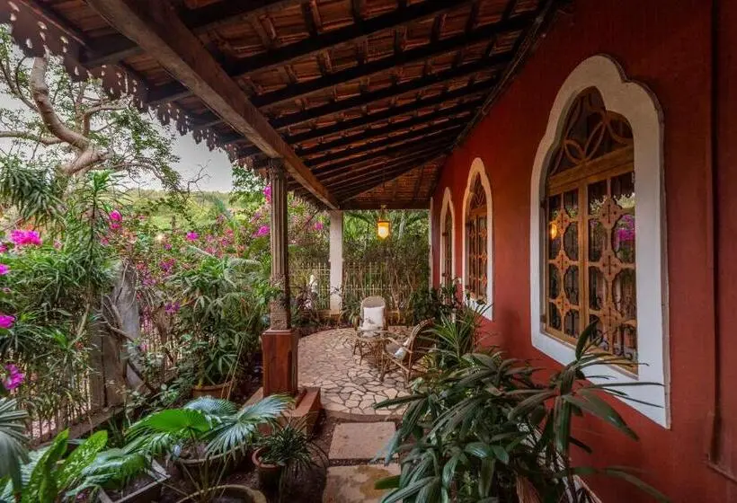 Suite Deluxe, Marbella Guest House