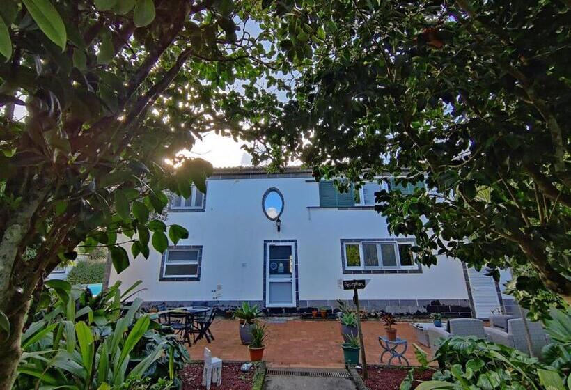 Люкс Вид на Море, Quinta Minuvida