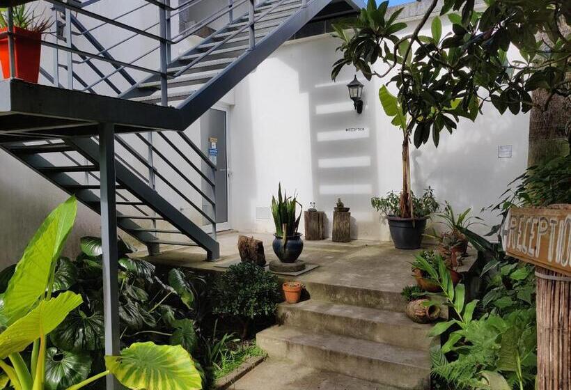 Люкс Вид на Море, Quinta Minuvida