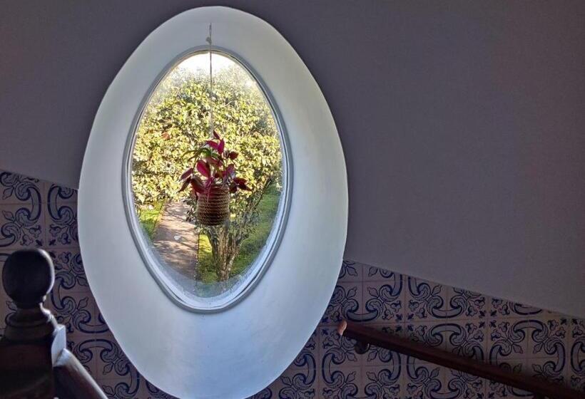 Люкс Superior Вид на Море, Quinta Minuvida