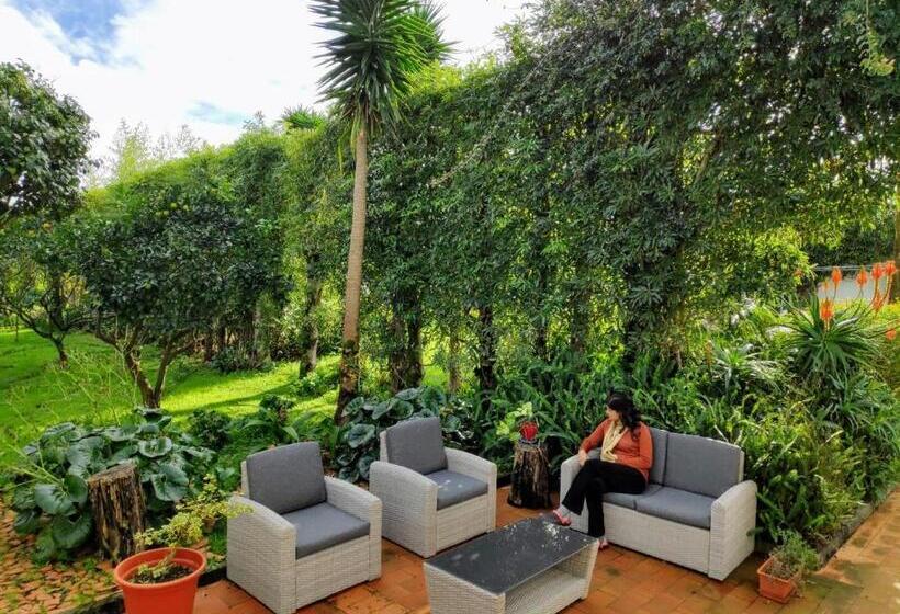 Номер Стандарт, Quinta Minuvida