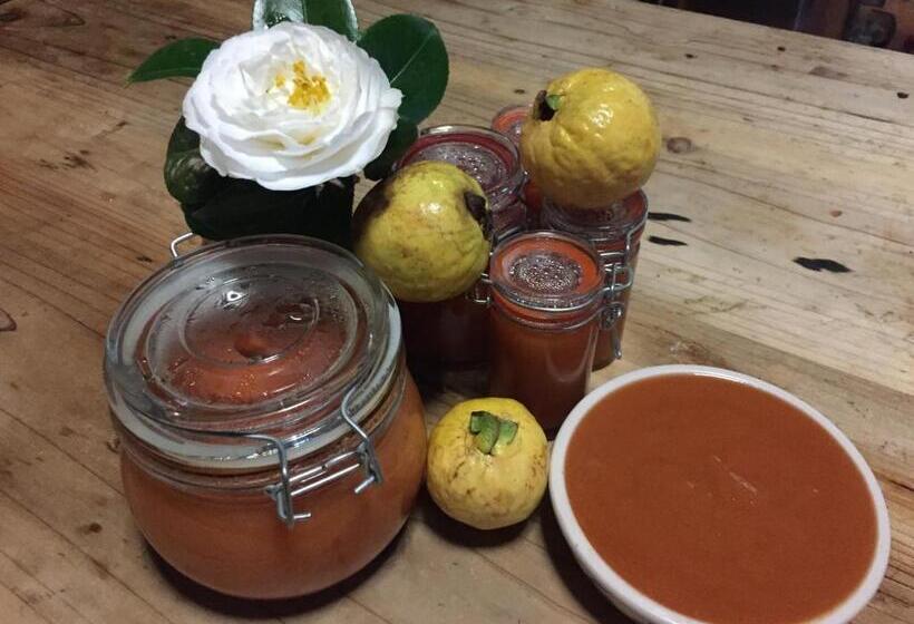 Номер Стандарт Вид на Горы, Quinta Minuvida