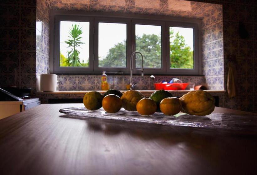 Люкс Вид на Море, Quinta Minuvida