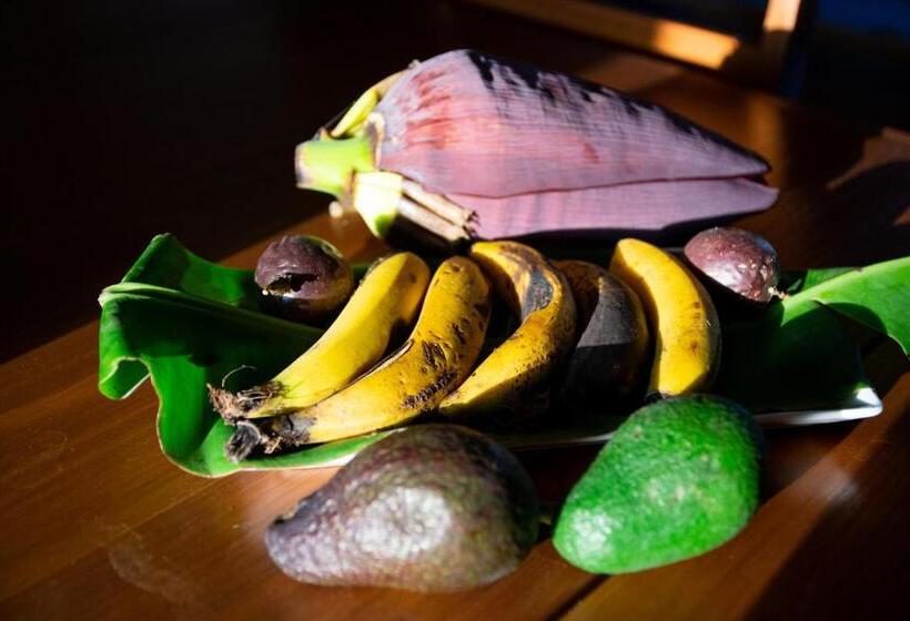 Люкс Superior Вид на Море, Quinta Minuvida