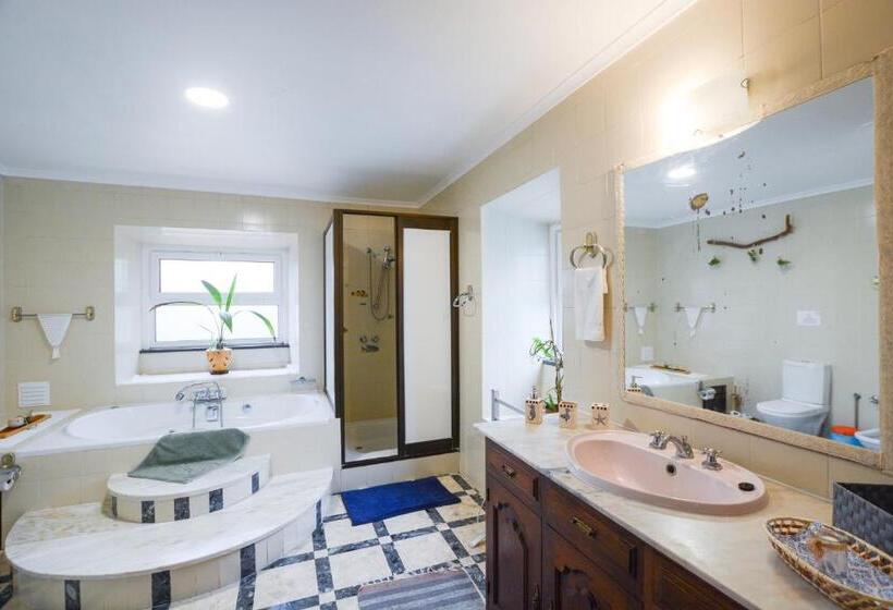 Номер Стандарт, Quinta Minuvida