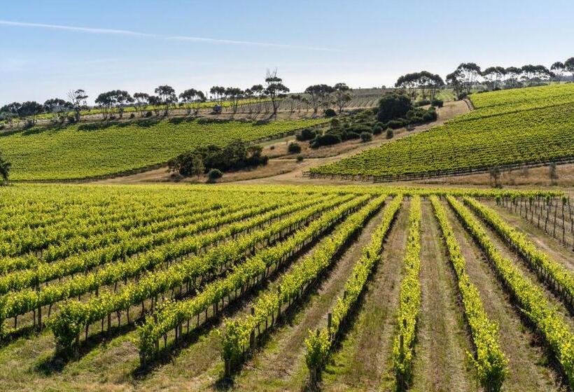 Quarto Deluxe Cama King, California Road At Inkwell Wines