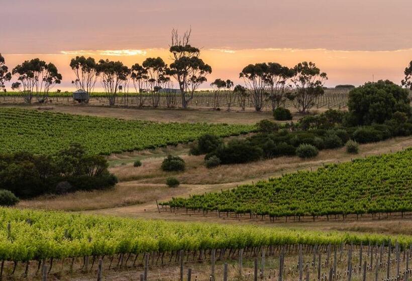 חדר דחוקס עם מיטת קינג, California Road At Inkwell Wines