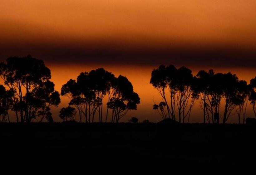 חדר דחוקס עם מיטת קינג, California Road At Inkwell Wines