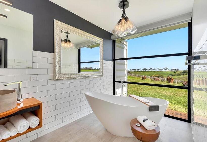 חדר דחוקס עם מיטת קינג, California Road At Inkwell Wines