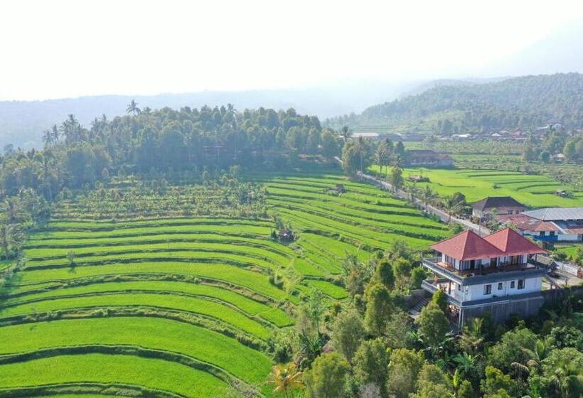 スーペリアールーム, Candra Cottage