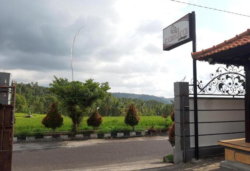 スーペリアールーム, Candra Cottage
