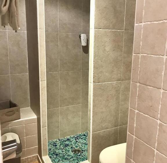 スタンダードルーム, A Pasturella