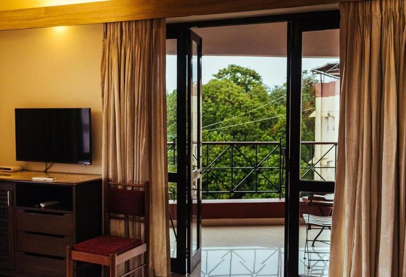 اتاق سوپریور, Arcadia