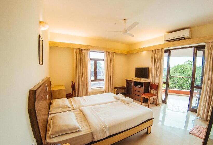 اتاق سوپریور, Arcadia