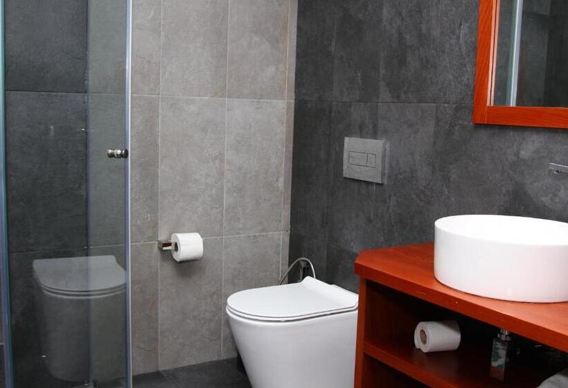 חדר סטנדרט יחיד, Jermuk Ashkhar Sanatorium