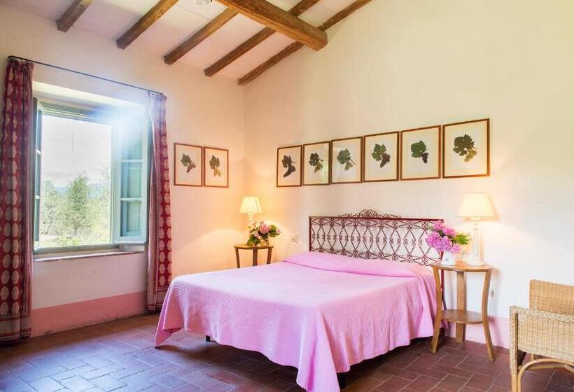 침실 1개 테라스 아파트, Petrolo