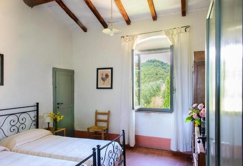 침실 1개 테라스 아파트, Petrolo