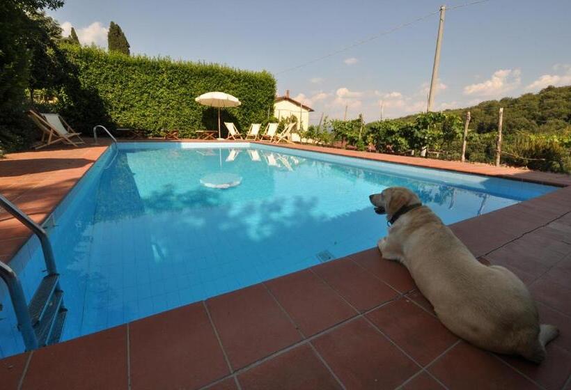 침실 1개 디럭스 빌라, Petrolo