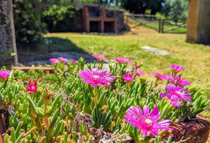 1침실 수피리어 빌라, Petrolo