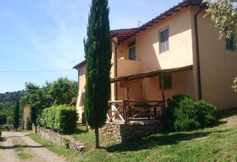 침실 1개 테라스 아파트, Petrolo