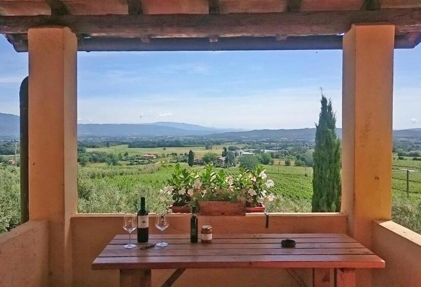 침실 1개 테라스 아파트, Petrolo