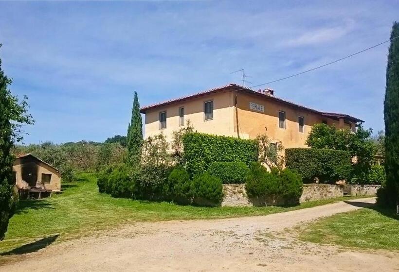 1베드룸 아파트 1층, Petrolo