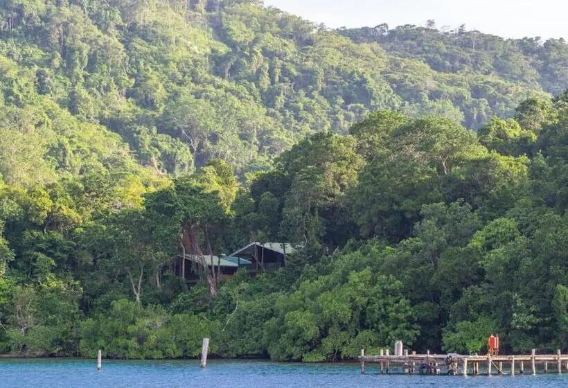 スタンダードバンガロー, Tawali Leisure & Dive Resort