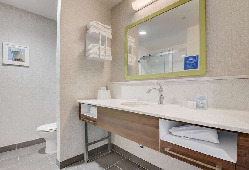 带大床的标准间, Hampton Inn & Suites Dallas/plano Central