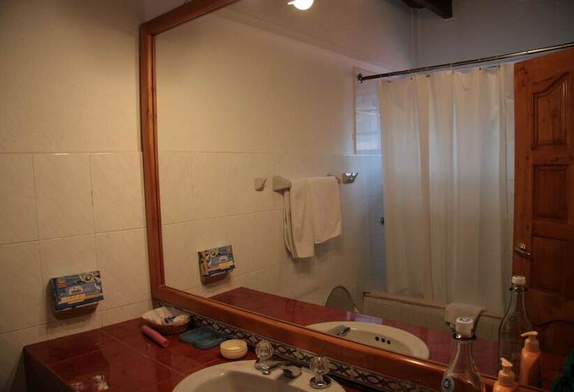 스탠다드 룸, Apartamentos Los Quipus