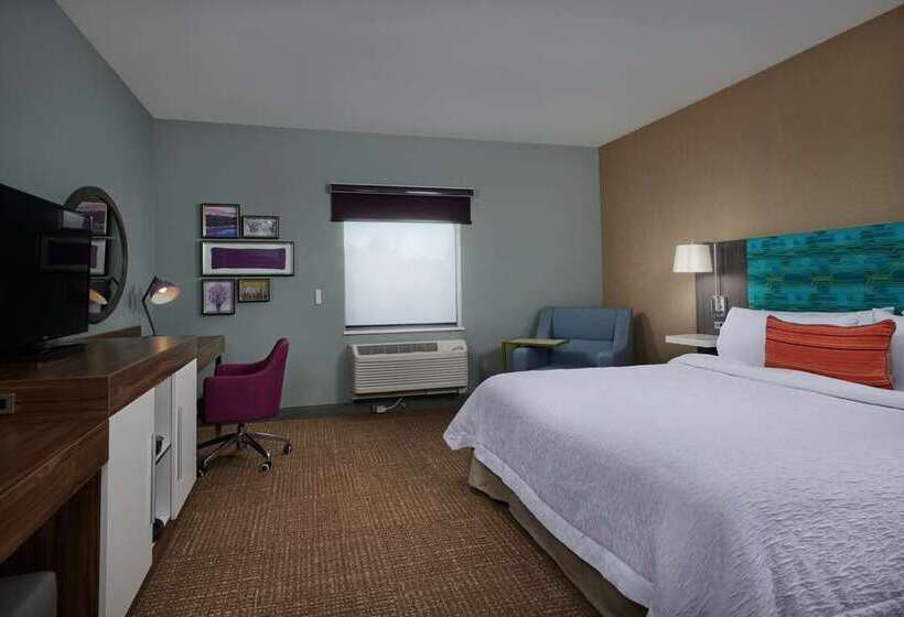 장애인을 위한 킹사이즈 침대 스탠다드 룸, Continental Miami Beach, Tapestry Collection By Hilton