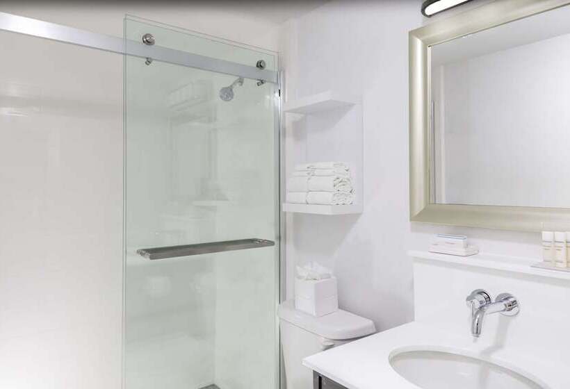 스탠다드 룸 더블 침대, Continental Miami Beach, Tapestry Collection By Hilton