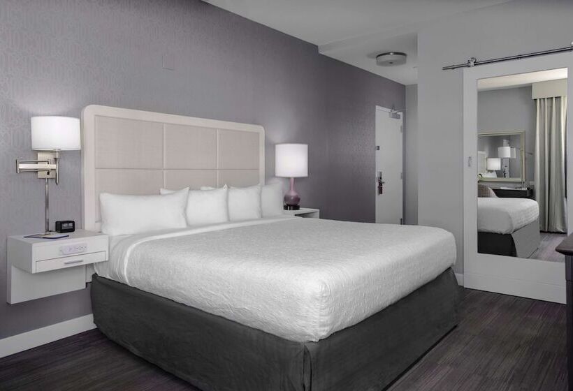 Chambre Standard Lit Double Adaptée aux Personnes à Mobilité Réduite, Continental Miami Beach, Tapestry Collection By Hilton