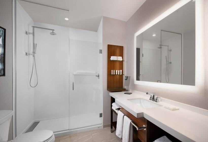 غرفه قياسيه سريرين مزدوجين, Marriott Dallas Allen Hotel & Convention Center