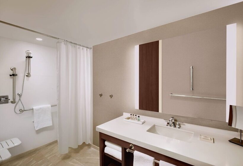 带2个双人床的标准工作室, Marriott Dallas Allen Hotel & Convention Center