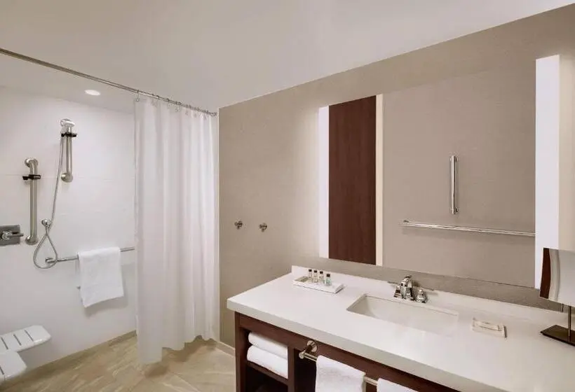 身障者適用スタンダードルーム, Marriott Dallas Allen Hotel & Convention Center