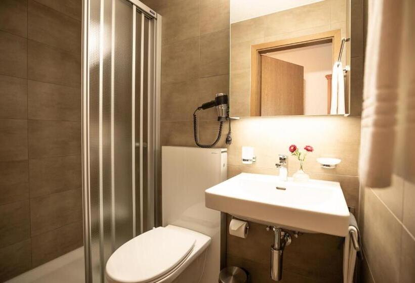 コンフォートシングルルーム, Tannenboden Steinbock