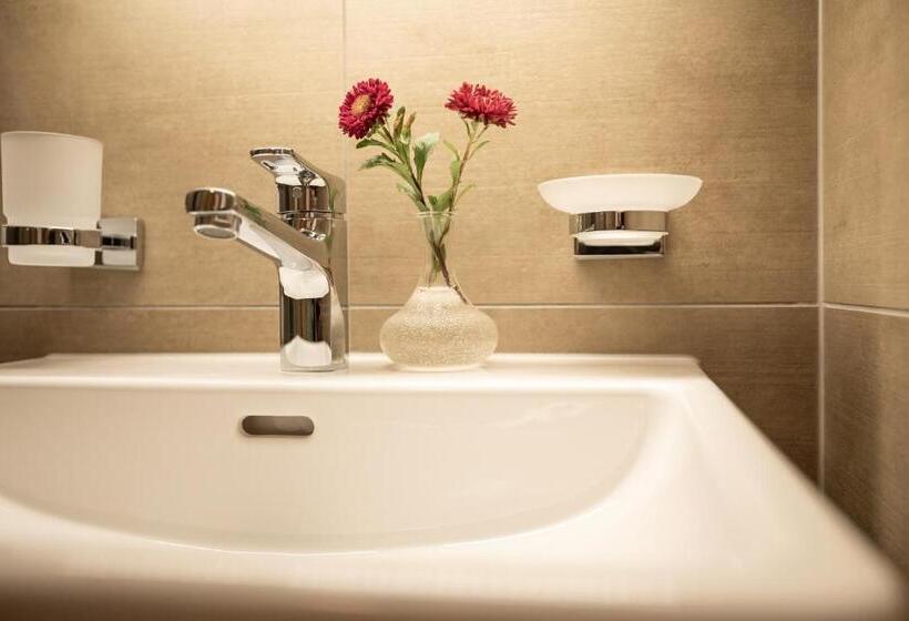 コンフォートシングルルーム, Tannenboden Steinbock