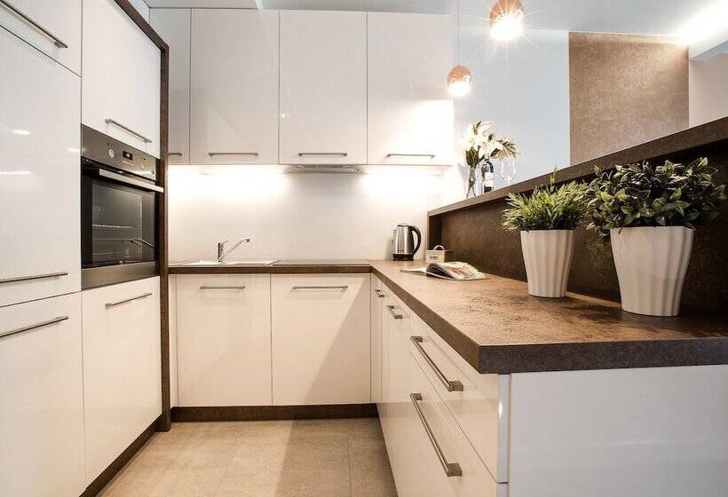 带1个卧室的豪华公寓, Emihouse Cityvibe Apartments