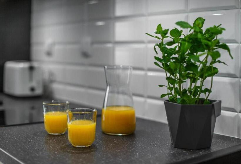 استودیوی استاندارد, Emihouse Cityvibe Apartments