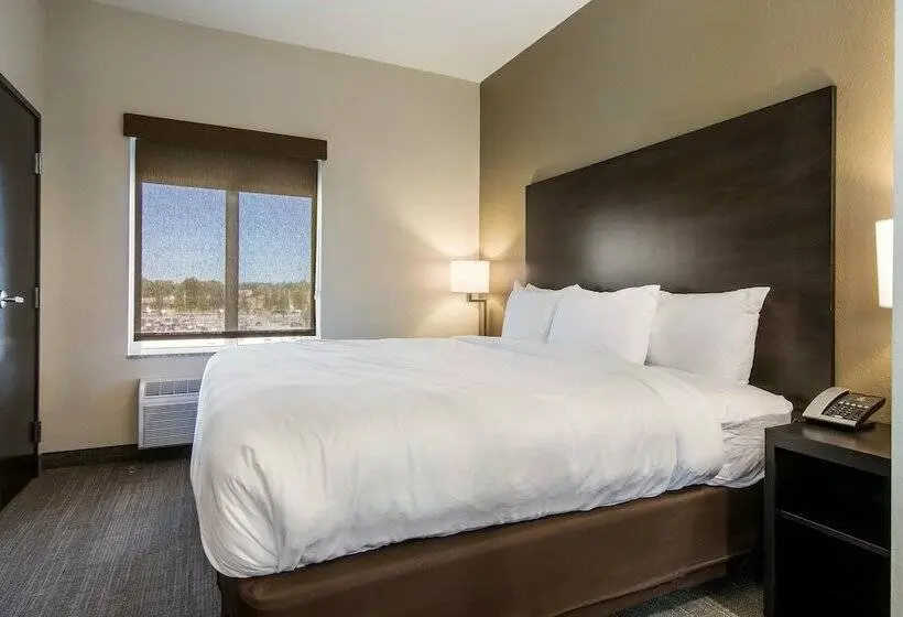 Sviitti, Comfort Suites