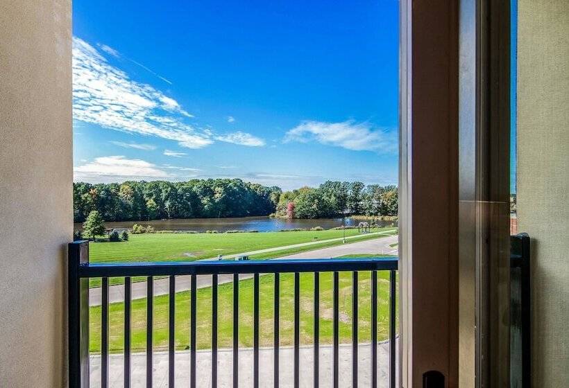 جناح مزوَّد بشرفة, Comfort Suites