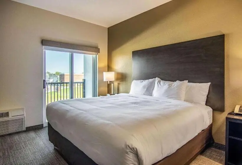Sviitti King-vuode, Comfort Suites