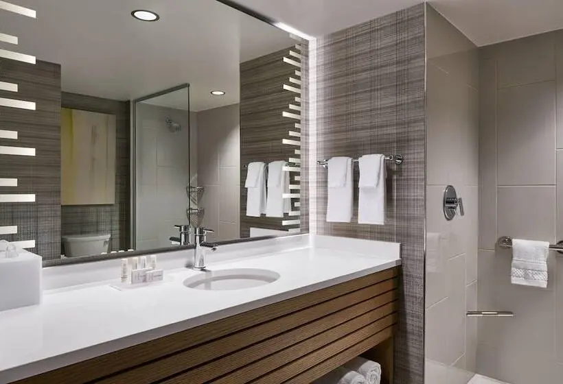２ダブルベッドのスタンダードルーム, Courtyard By Marriott Washington Downtown/convention Center