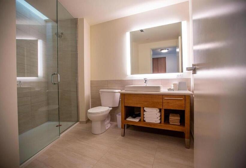 חדר סטנדרט, Element Detroit At The Metropolitan