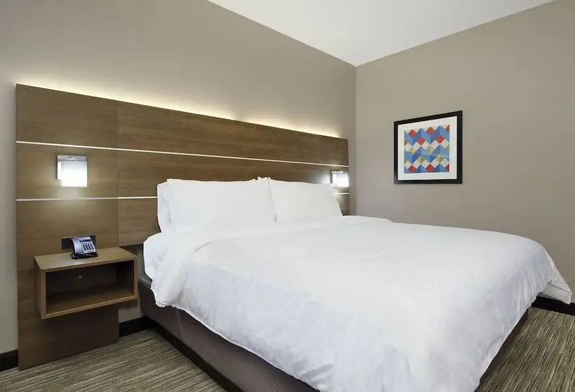 スタンダードルーム, Holiday Inn Express & Suites Dallas Frisco Nw Toyota Stdm By Ihg