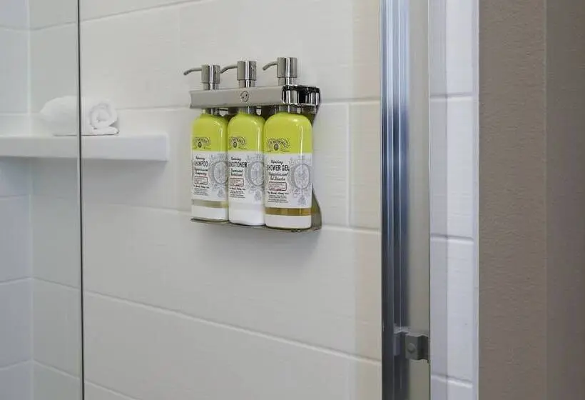 身障者適用スイートルーム, Holiday Inn Express & Suites Dallas Frisco Nw Toyota Stdm By Ihg