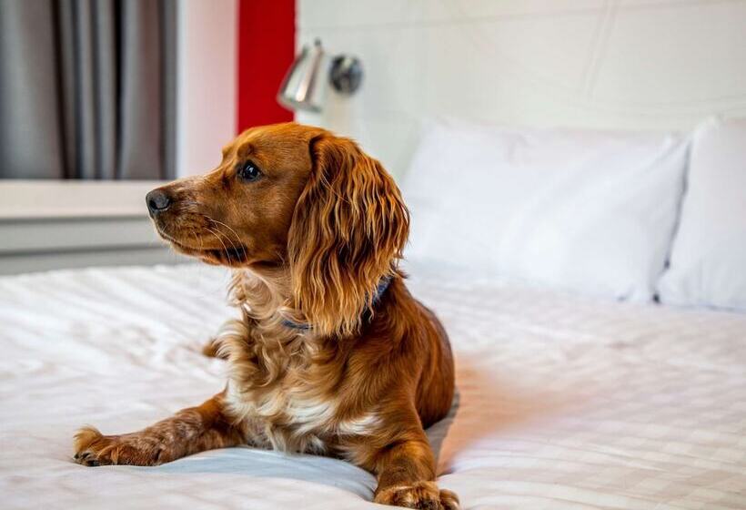 غرفة قياسية, Ibis Styles Glasgow Central