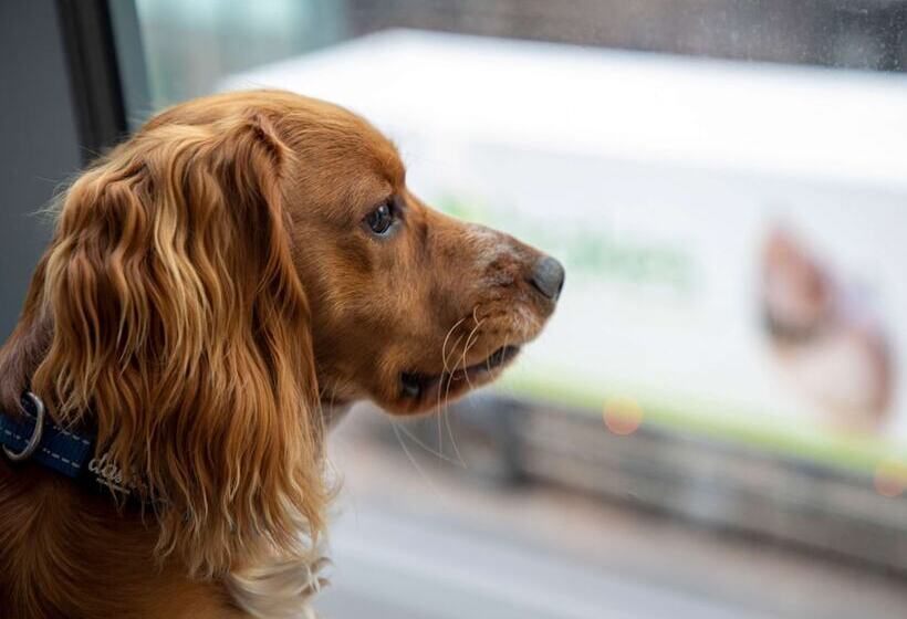 غرفة قياسية لذوى الاحتياجات الخاصة, Ibis Styles Glasgow Central