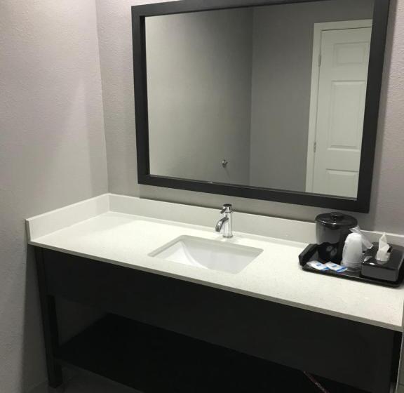 带大床的标准间, Rodeway Inn South