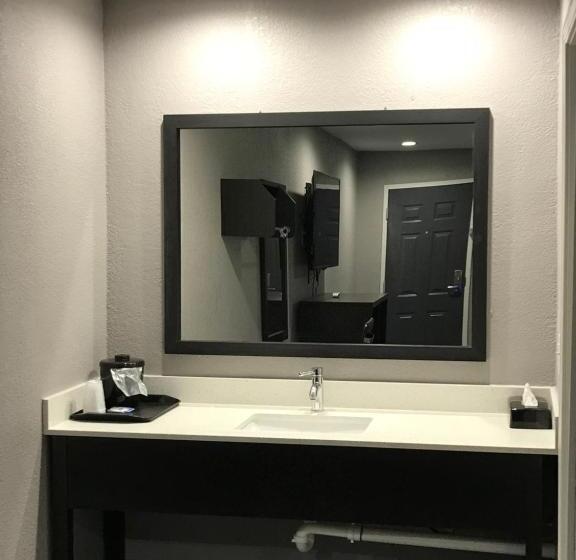 适合残疾人士使用的带超级大床的标准间, Rodeway Inn South